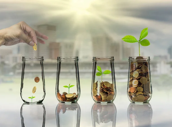 Conoce más sobre la inversión responsable