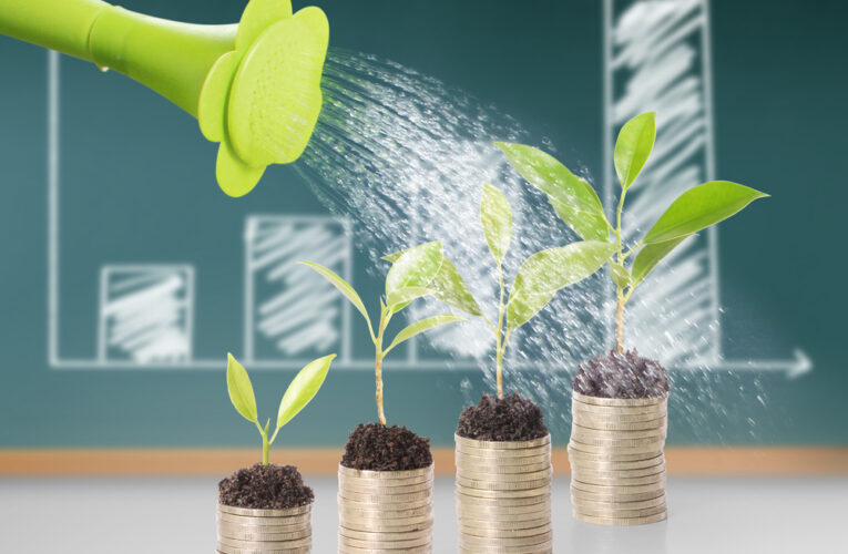 Inversiones Responsables: Retos y Ventajas en México